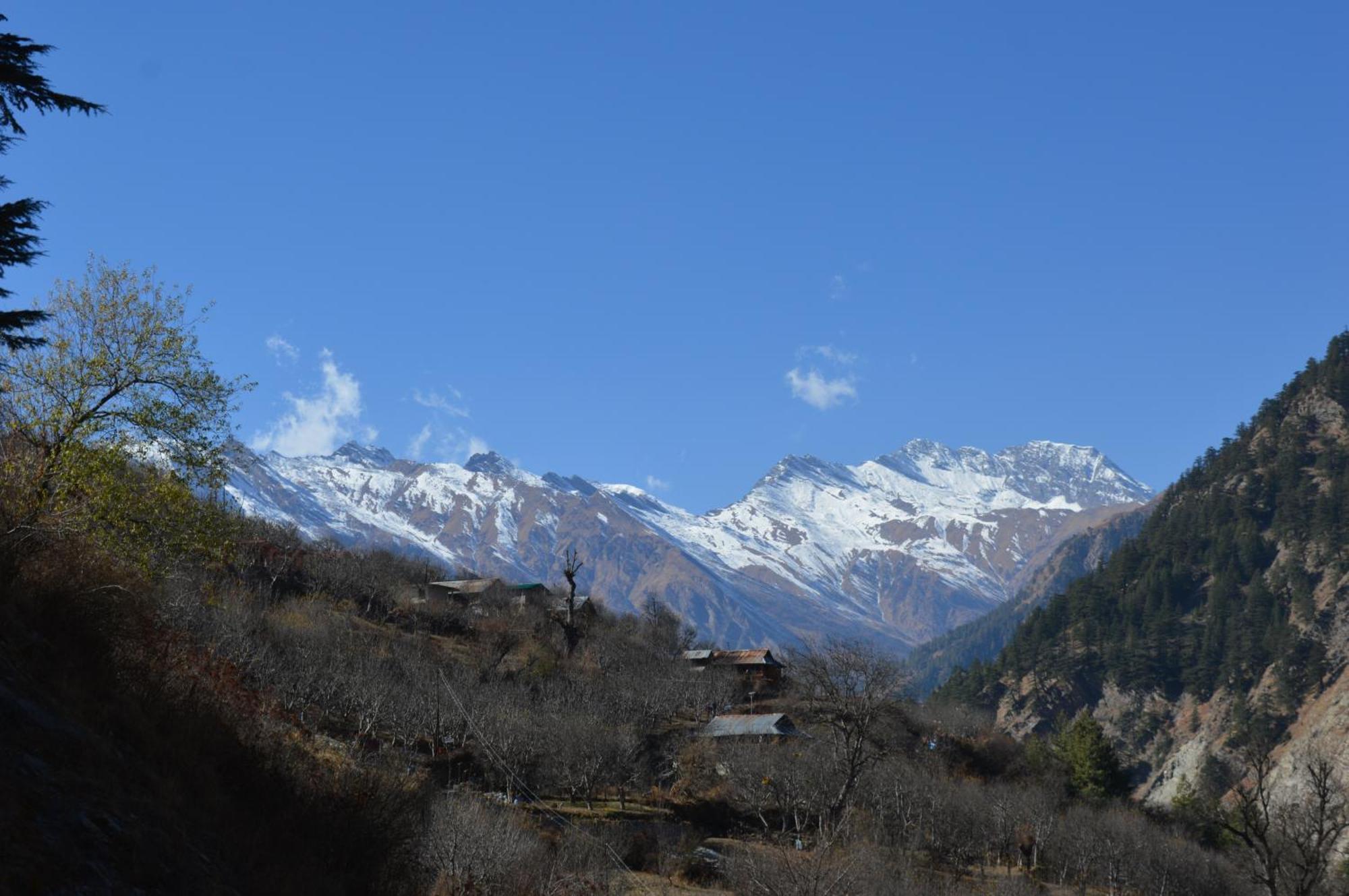 Laxmi Narayan Homestay-Harshil Harsil ภายนอก รูปภาพ