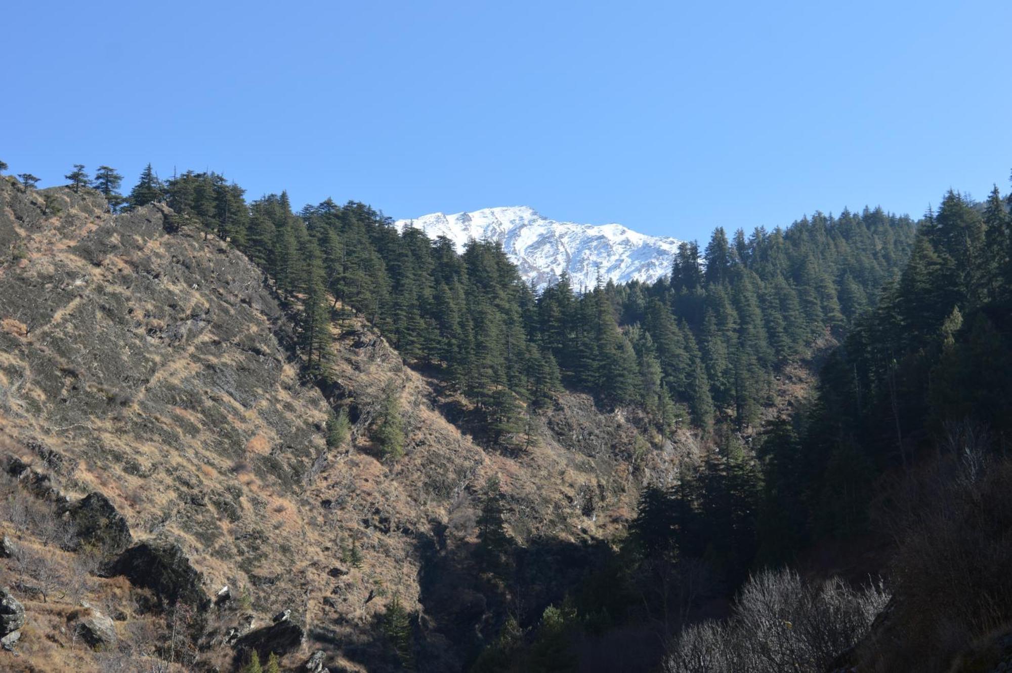 Laxmi Narayan Homestay-Harshil Harsil ภายนอก รูปภาพ
