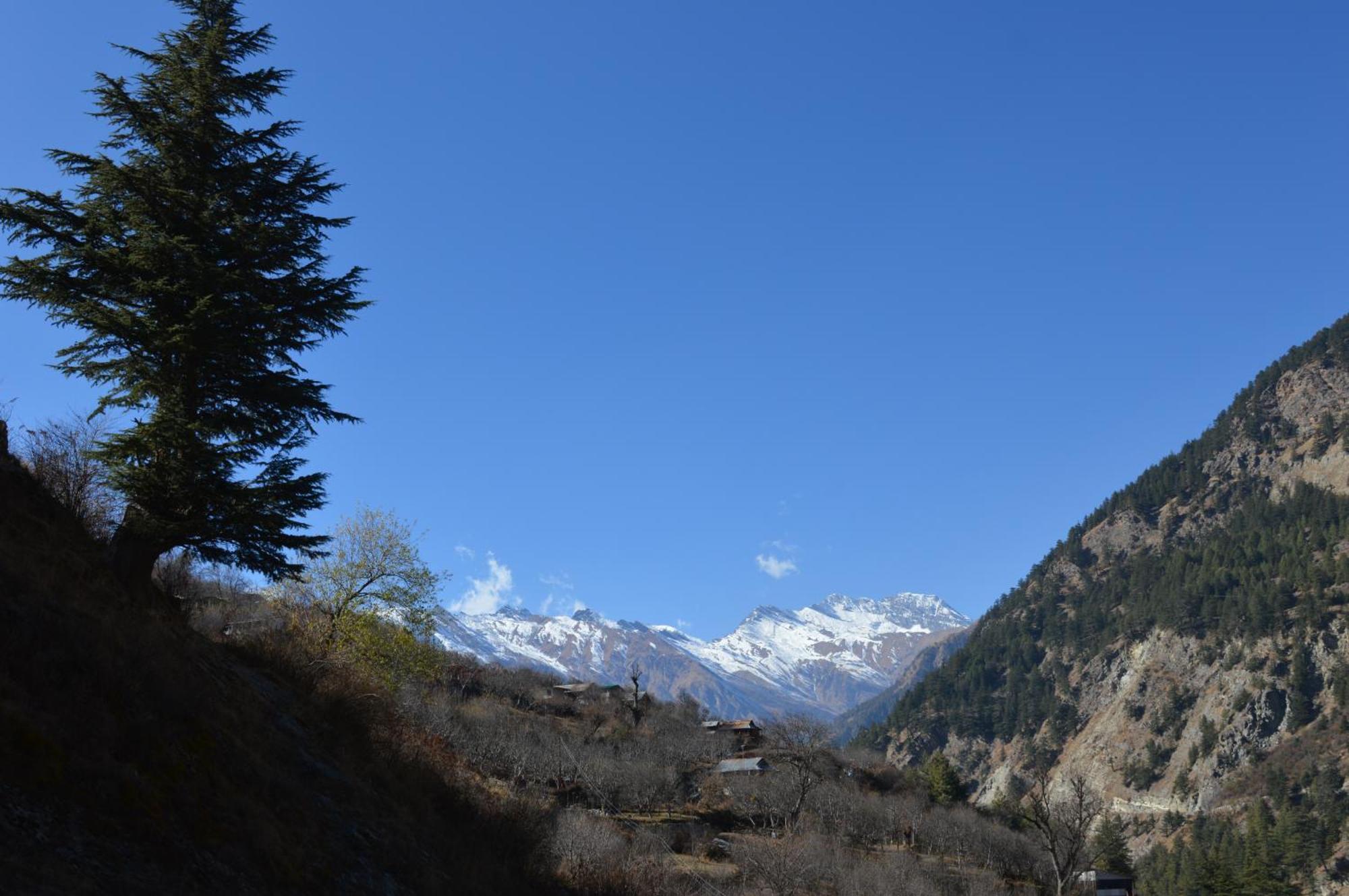 Laxmi Narayan Homestay-Harshil Harsil ภายนอก รูปภาพ